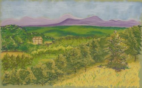 pastel-open-field-heather