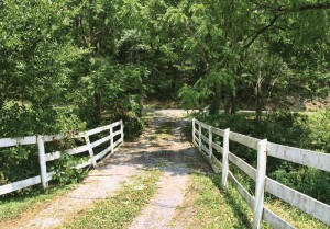 Bridge-Shenandoah-Art-Destination