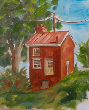 Small-house-Lexingto-by-Carolina